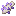 紫水晶芽鱼
